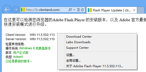Flash Player V11 5 502 110